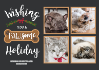 PAWsome Holiday Front