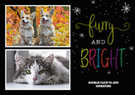 Furry & Bright Front