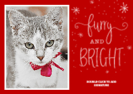 Furry & Bright Front