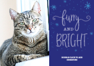 Furry & Bright Front