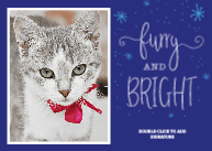 Furry & Bright Front
