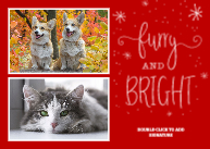 Furry & Bright Front