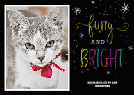 Furry & Bright Front