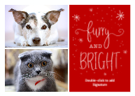 Furry & Bright Front