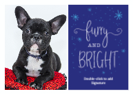 Furry & Bright Front