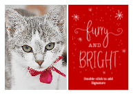 Furry & Bright Front