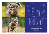 Furry & Bright  Front