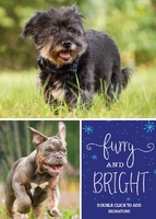Furry & Bright  Front