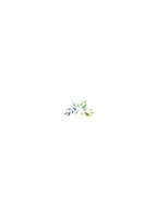 Leafy Flourish Monogram Back