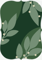 Modern Leaves (Shaped Cut) Back