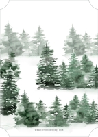 Winter Evergreen Border (Shaped Cut) Back