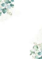Mixed Eucalyptus Back