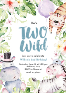 Two Wild Front
