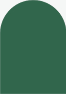 White with Greenery (Shaped Cut) Back