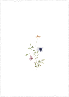 Spring Wildflowers (Shaped Cut) Back